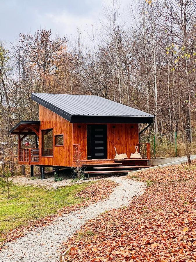Moodysun Studio, Remote Tiny Home Comarnic Εξωτερικό φωτογραφία