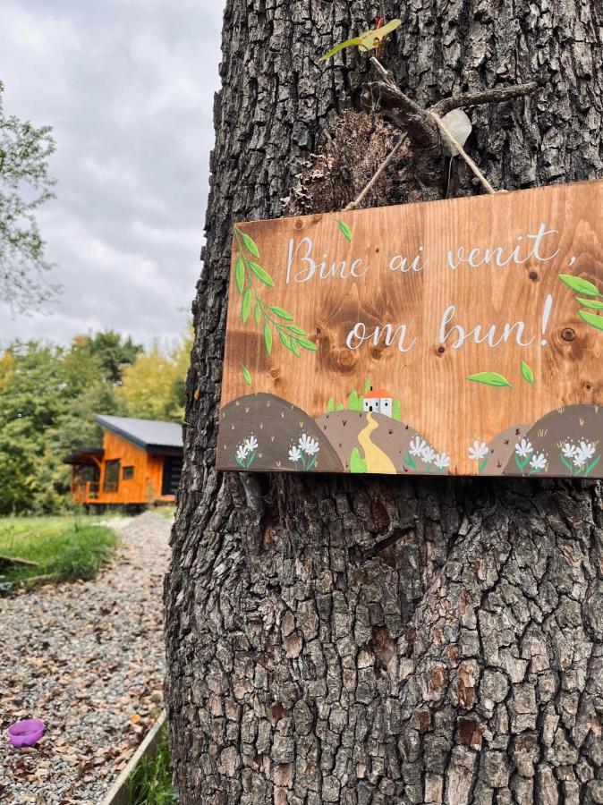 Moodysun Studio, Remote Tiny Home Comarnic Εξωτερικό φωτογραφία