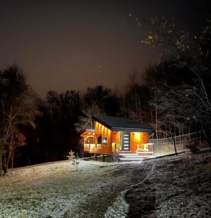 Moodysun Studio, Remote Tiny Home Comarnic Εξωτερικό φωτογραφία