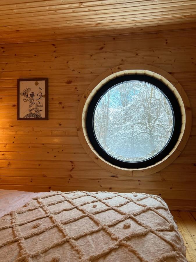 Moodysun Studio, Remote Tiny Home Comarnic Εξωτερικό φωτογραφία